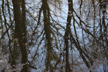 Flooding of a river in meuse countryside