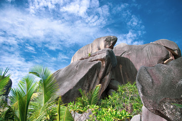 Granite rocks with palm trees at beautiful beach on tropical island  against beautiful sky