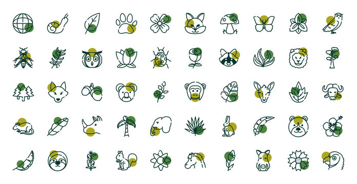 Biodiversity and animals half line half color style icon set vector design