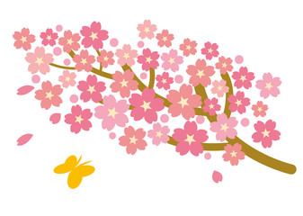 桜グラフィックパターン