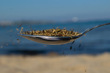 spoon full of aromatic species