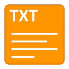 TXT text file extension.Collection concept vector pictogram for infographic project and logo