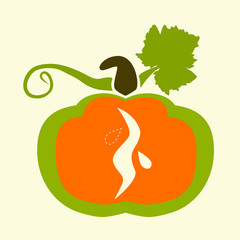 pumpkin collection, vector graphics, pattern, illustration