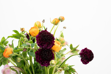 Bold floral flatlay on white background with burgundy scabiosa and orange ranunculus flowers
