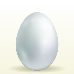 Egg on a white background. Natural ecological product. Healthy food. Dietary meal. Easter symbol. Vector illustration