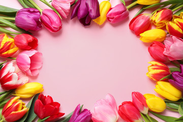 Frame made with beautiful spring tulips on pink background, top view. Space for text