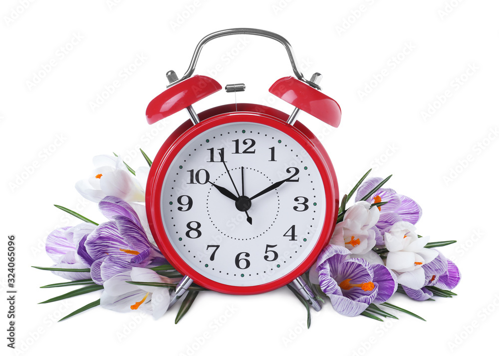 Poster red alarm clock and spring flowers on white background. time change