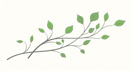 Two branches with green leaves of different shapes on a notebook sheet on a light background