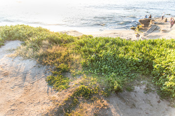 La Jolla Shorelines