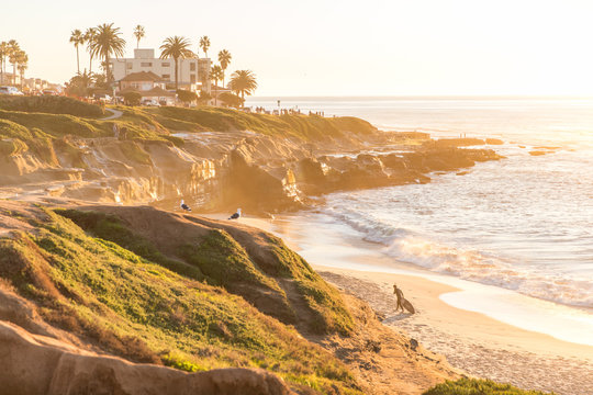 La Jolla Shorelines - Powered by Adobe