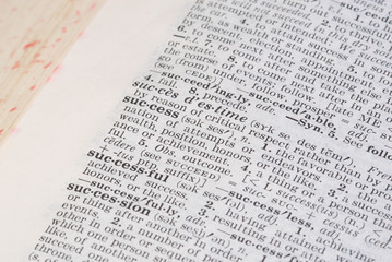 dictionary word success