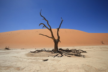 Sossosvlei in the southern part of the Namib Desert