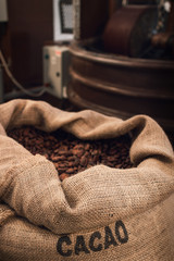 Fototapeta premium Jute bag full of cocoa beans in a chocolate maker workshop, with conching and melanger equipment on the background