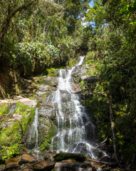 Lots of Vegetation, Plants, Moss on the Rocks at Las Golondrinas Waterfalls in Antioquia, Colombia