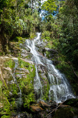 Fototapeta na wymiar Lots of Vegetation, Plants, Moss on the Rocks at Las Golondrinas Waterfalls in Antioquia, Colombia