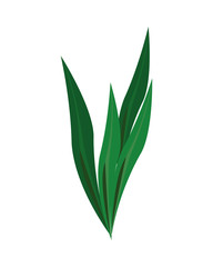 grass plant nature isolated icon