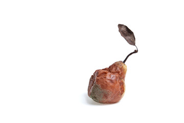 One rotten pear on a white background. Copy space