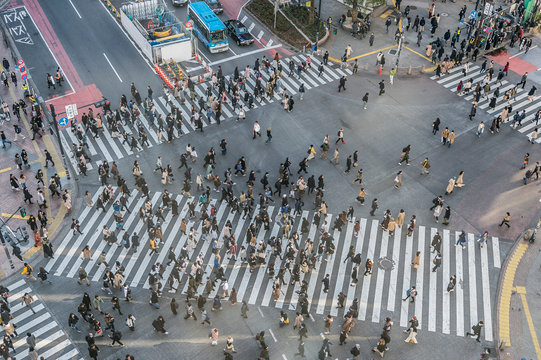 渋谷スクランブル交差点 のストック写真 ロイヤリティフリーの画像 ベクター イラスト Adobe Stock 渋谷スクランブル交差点 のストック写真 ロイヤリティフリーの画像 ベクター イラスト Adobe Stock