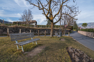 Fototapeta premium Vineyards in Eppan, south Tyrol, Italy, Europe.