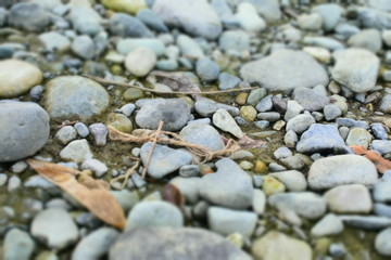Stone
