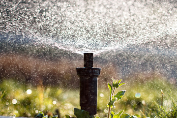 Rociador de agua en cámara lenta