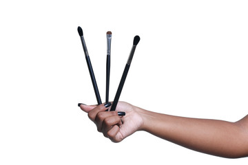 Hand holding makeup brushes