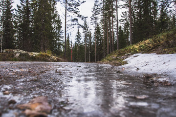 ice in the forest of Norway