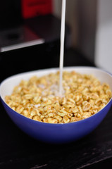 Cereals and Milk in a bowl