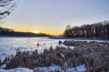 Frozen Lake Scene with cattails in foreground, cattails and trees in the middle ground, and sunset in background