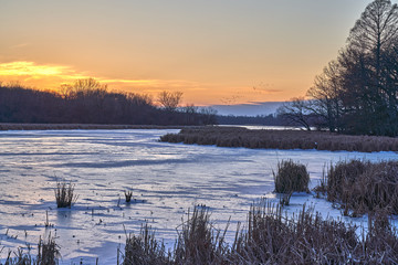 Frozen Lake Scene with cattails in foreground, cattails and trees in the middle ground, and sunset in background