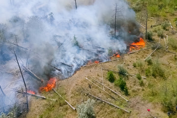 Forest fire, smoke of surrounding area. smoke and fire.