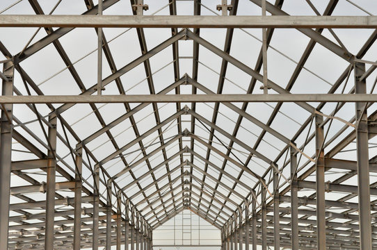 Building Skeleton