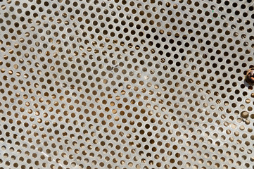 Speaker Grid Pattern