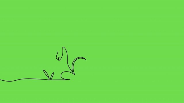Footage B roll scene of Self drawing simple animation of single continuous one line drawing of rabbit in Easter day. Black lines on a green screen. Animation footage b roll 4k.