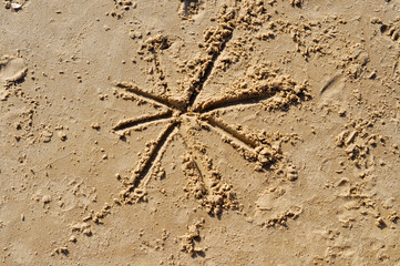 Star Drawn on Sand