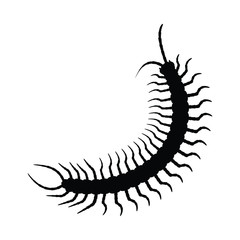 Centipede silhouette vector, insect illustration
