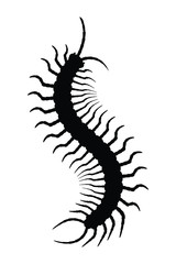 Centipede silhouette vector, insect illustration