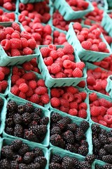 Berries