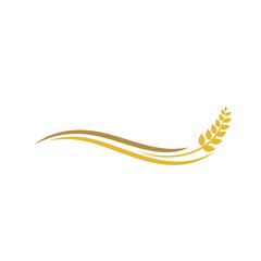 Wheat rice agriculture logo, Wheat grain, Wheat Nutrition, Wheat rice agriculture logo Inspiration vector