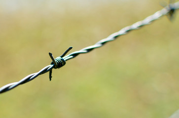 Barbed wire
