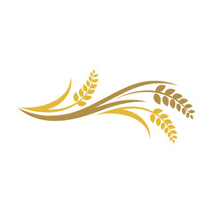 Wheat rice agriculture logo, Wheat grain, Wheat Nutrition, Wheat rice agriculture logo Inspiration vector