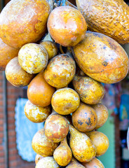 Round gourd