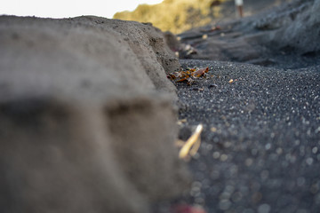 Black sand beach