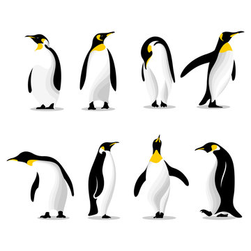 Cute penguins set logo