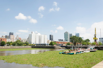 Fototapeta na wymiar Unusual view of Puerto Madero: water surface covered by common water hyacinth