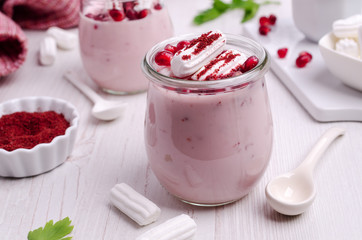 Organic fermented yogurt