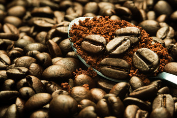 closeup dark brown roasted coffee beans background and coffee powder above spoon