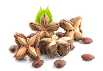 sacha inchi an isolated on white background