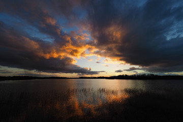 Colorful sunrise over Nine Mile Pond in Everglades National Park, Florida reflected in tranquil water of pond with stand of reeds in foreground.