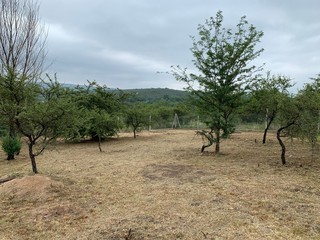 lote para vivir